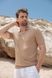 Мужское песочное поло Frantini Polo251 Polo251.03.10 фото 2